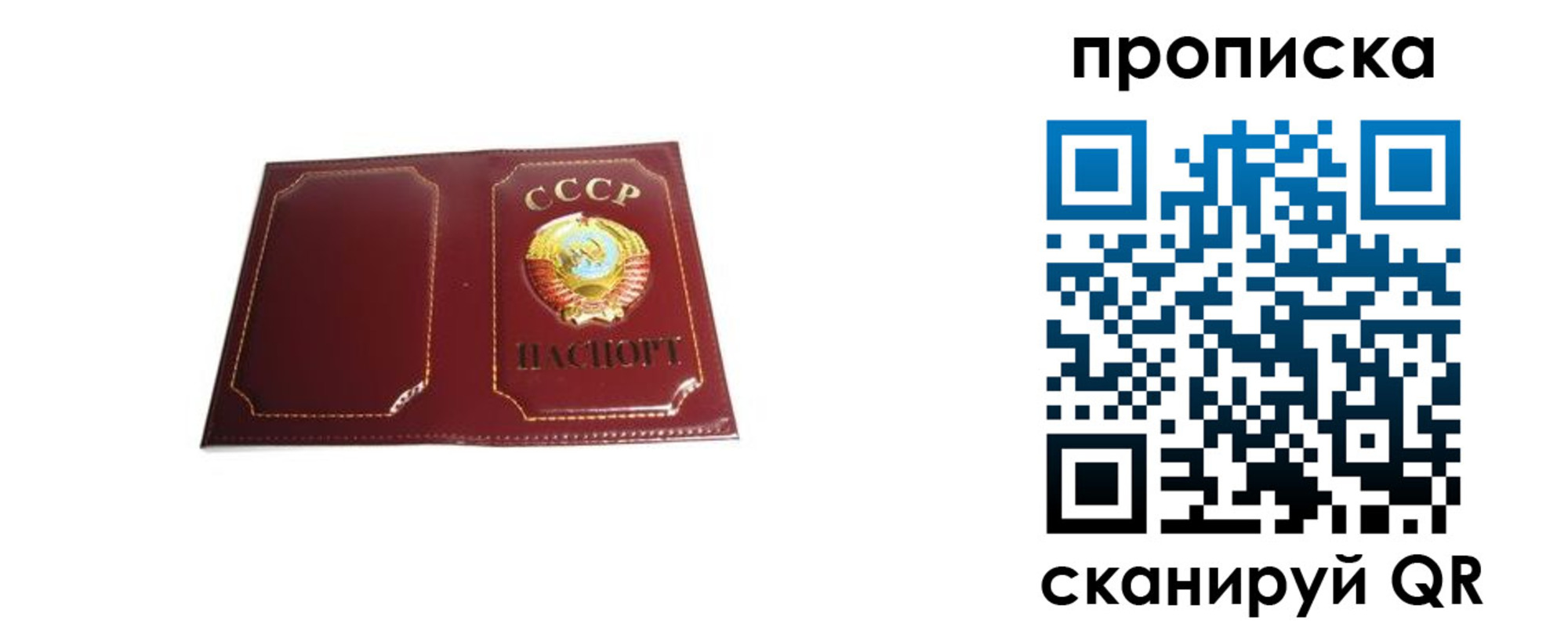 прописка гарантия в Свирске